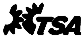 TSA logo