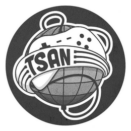 TSAN logo