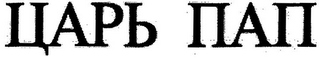 TSAR PAP logo