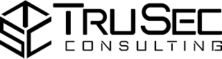 TSC TRUSEC CONSULTING logo