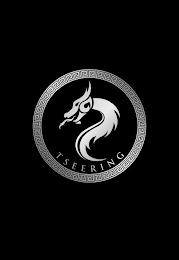 TSEERING logo