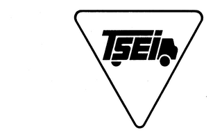 TSEI logo