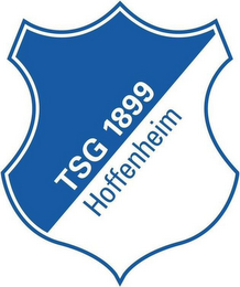 TSG 1899 HOFFENHEIM logo