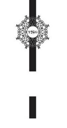 TSG logo