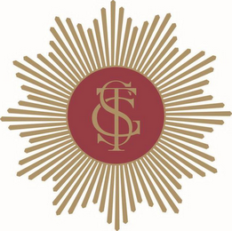 TSG logo