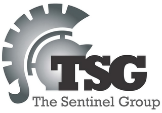 TSG THE SENTINEL GROUP logo
