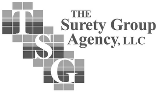 TSG THE SURETY GROUP AGENCY, LLC logo