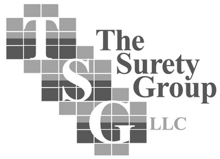 TSG THE SURETY GROUP LLC logo