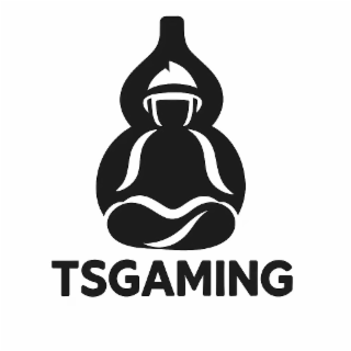 TSGAMING logo