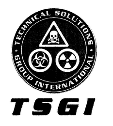 TSGI TECHNICAL SOLUTIONS GROUP INTERNATIONAL logo