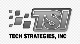 TSI TECH STRATEGIES, INC logo
