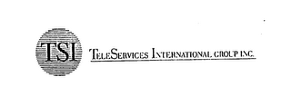 TSI TELESERVICES INTERNATIONAL GROUP INC. logo