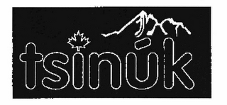 TSINUK logo