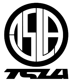 TSLA TSLA logo