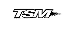 TSM logo