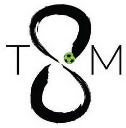 TSM logo