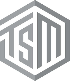 TSM logo