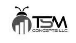 TSM CONCEPTS LLC logo