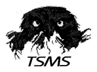 TSMS logo