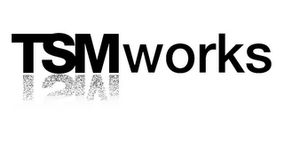 TSMWORKS logo