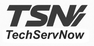 TSN TECHSERVNOW logo