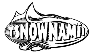 TSNOWNAMI! logo