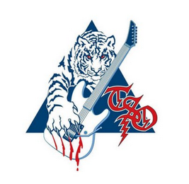 TSO logo