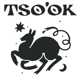 TSO'OK logo
