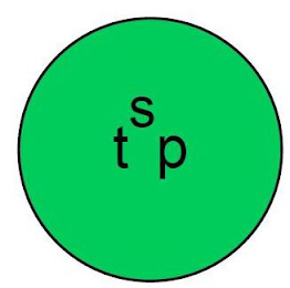 TSP logo