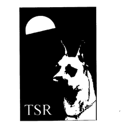 TSR logo