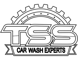 TSS CAR WASH EXPERTS logo