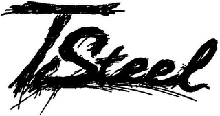 TSTEEL logo