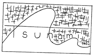 TSUNAMI logo
