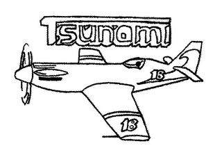 TSUNAMI logo