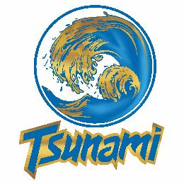 TSUNAMI logo
