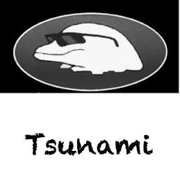 TSUNAMI logo
