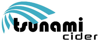 TSUNAMI CIDER logo