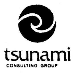 TSUNAMI CONSULTING GROUP logo