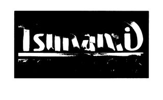 TSUNAMI TECHNOLOGIES logo