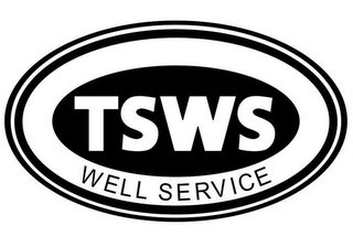 TSWS WELL SERVICE logo