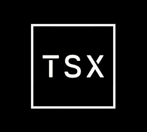TSX logo