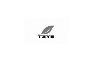 TSYE logo