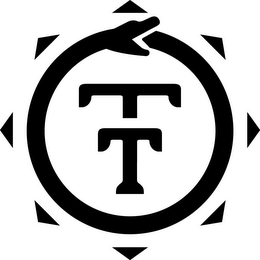TT logo