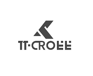 TT-CROEE logo