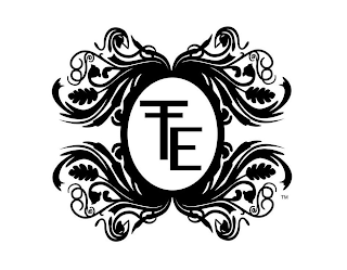 TTE logo