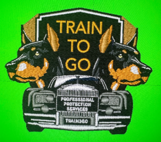TTG - TRAIN TO GO logo