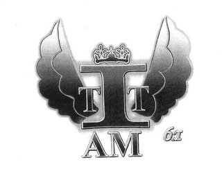 TTI AM 6:I logo