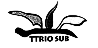 TTRIO SUB logo