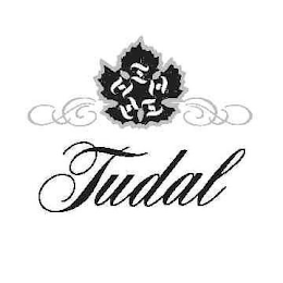 TTTTTT TUDAL logo