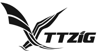 TTZIG logo